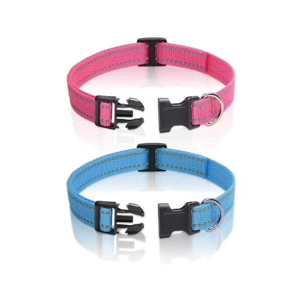 Replacement Dog Collar with Adjustable Size for Small to Large Breeds - 2 Pack