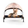 Resistant Dog Bed with Canopy for Small Breeds, Lightweight, Padded, and Easy to Assemble