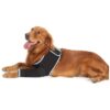 Resistant Dog Recovery Sleeve for Licking, Comfortable and Adjustable