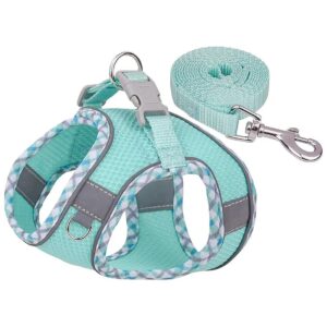 Resistant Mesh Dog Harness in Baby Blue with Adjustable Buckle XS Size for Small Dogs