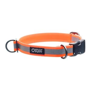 Resistant Orange Dog Collar with Bio