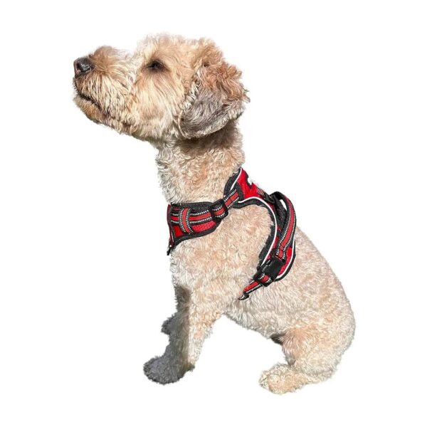 Resistant Oxford Dog Harness with Reflective Accents and 2 Leash Clips for Maximum Safety