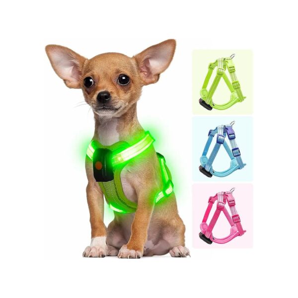 Resistant and Rechargeable LED Dog Harness for Small Dogs with Large Battery Capacity