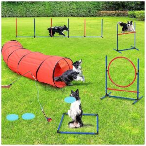 Resourceful Dog Agility Equipment with 3 Frisbees, Pause Box, and Weave Poles