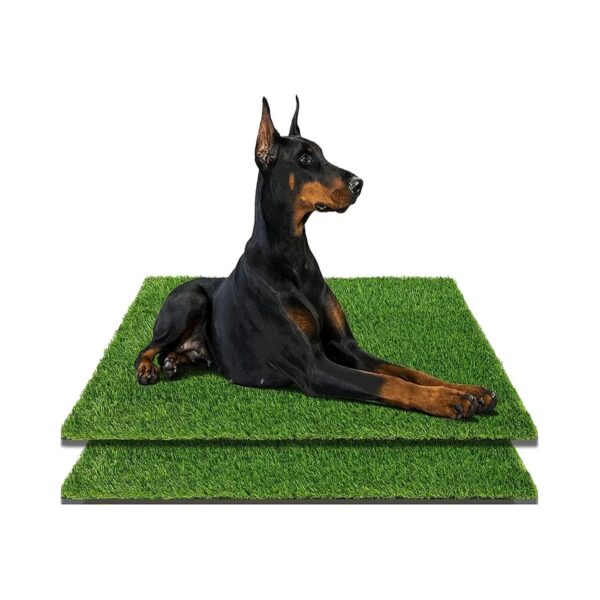 Reusable Artificial Grass for Potty Training Dogs 40x26 Inch Turf Pad