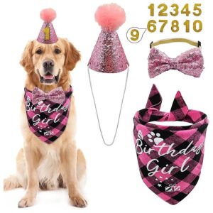 Reusable Dog Birthday Party Set with Adjustable Hat and Scarf