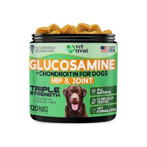 Rich Hip and Joint Supplement for Dogs with Glucosamine and Chondroitin