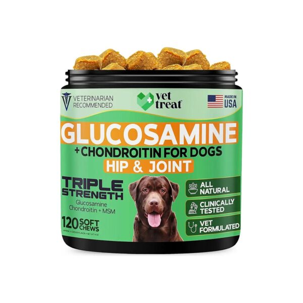 Rich Hip and Joint Supplement for Dogs with Glucosamine and Chondroitin