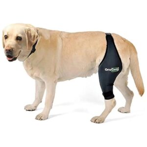 Right Leg Orthopedic Knee Protection for Dogs with Osteoarthritis and Ligament Injuries