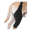 Right Medium Knee Support for Dogs Relief from Arthritis and Injury Pain