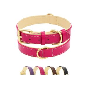 Ring and Solid Brass Hardware for Strong and Stylish Dogs