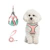 Ring for Cats and Small to Medium Dogs Walking Training