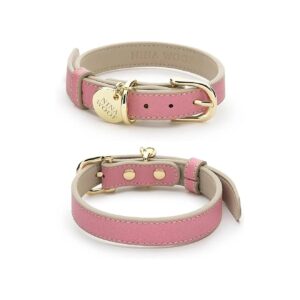 Rio Pink Leather Dog Collar with Padded Comfort and Adjustable Buckle for Small Dogs