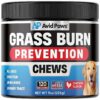 Rock Alternative - Soft and Delicious Chews for Lawn Protection and Dog Health