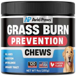 Rock Alternative - Soft and Delicious Chews for Lawn Protection and Dog Health