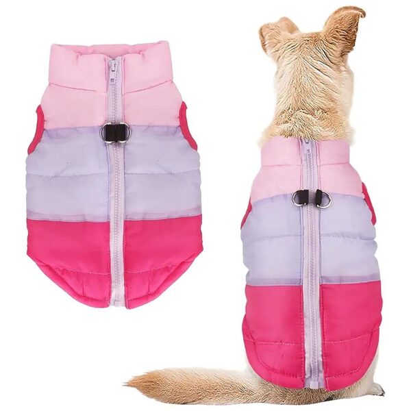 Rose Red Patchwork Coat with Padded Vest for Small to Medium Size Dogs