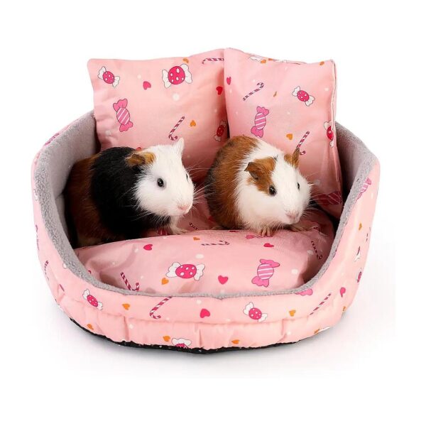 Round Pet Couch for Guinea Pigs, Rabbits, Chinchillas, and More