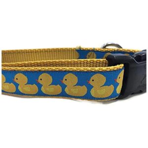 Rubber Duck Dog Collar in Blue Color with Medium Size Option