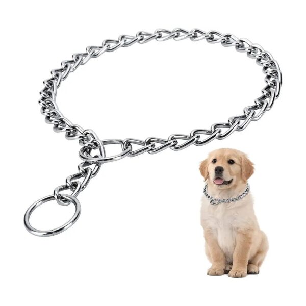 Rust Stainless Steel for Small Medium Canines