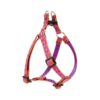 Rustic Pink or Purple Alpen Glow Patterned Harness for Small Dogs