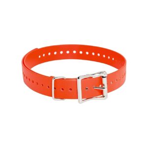 Rustproof 1 Inch Wide Orange Dog Collar Straps for Adjustable Fit