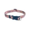 Safe Adjustment Cinch Collar with Bees and Butterflies Pattern for Small to Medium Dogs