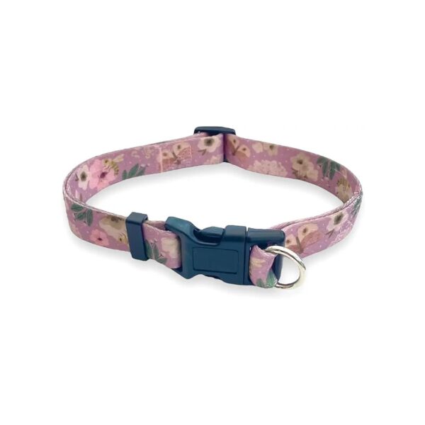 Safe Adjustment Cinch Collar with Bees and Butterflies Pattern for Small to Medium Dogs