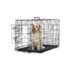 Safe Den and Plastic Tray, 36" Metal Wire Dog Crate