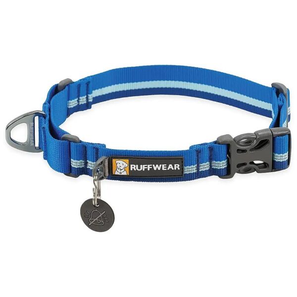 Safe On-Leash Walking Blue Pool Martingale Dog Collar 17-20