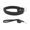 Safe and Comfortable Martingale Dog Collar with Reflective Strips and Adjustable Size