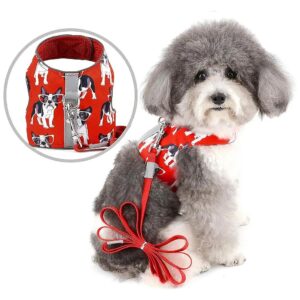 Safe and Comfortable Reflective Dog Harness and Leash Set for Small Dogs