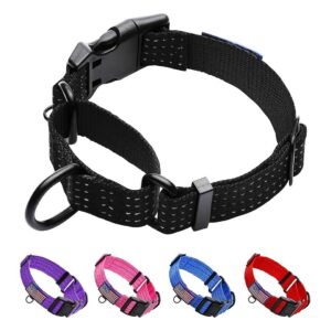 Safe and Controllable Training Collar for Large Dogs with Martingale Design