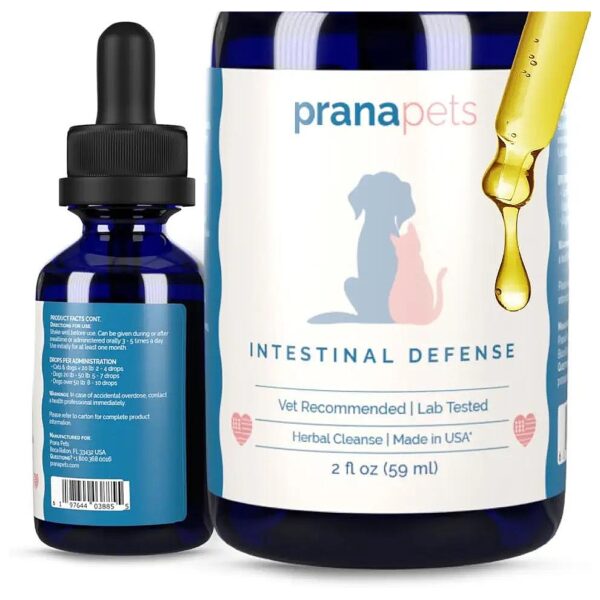 Safe and Effective Intestinal Defense Supplement for Pets