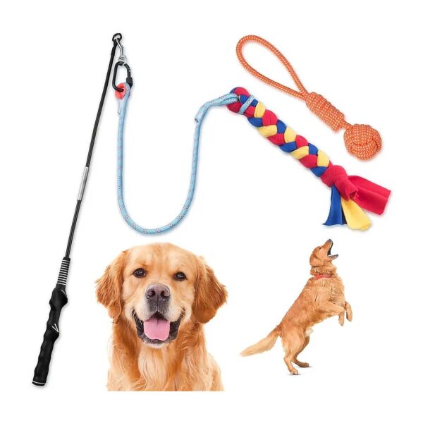 Safe and Fun Dog Play Tool for Outdoor Exercise Training