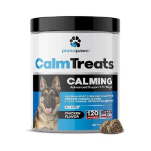 Safe and Natural Calming Treats for Dogs with Separation Anxiety and Motion Sickness