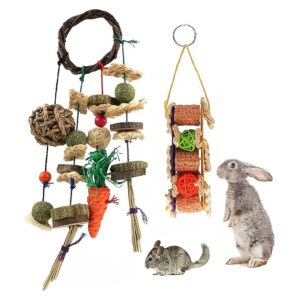 Safe and Non-Toxic Chew Toys for Small Pets Dental Health