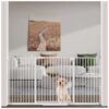 Safe and Secure Baby Pet Gate with Narrow Spacing and Double Lock System for Home Use