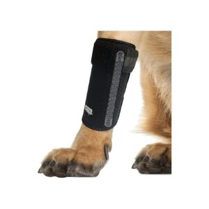 Safe and Secure Dog Leg Braces for Arthritis, Sprains, and Injuries