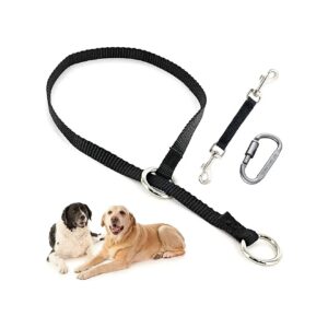 Safe and Secure Dog Walking Solution with Backup Collar and Carabiner