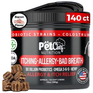 Safe and Strong Allergy Supplements for Dogs with Allergies