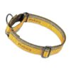 Safe and Sturdy Martingale Dog Collar with Reflective 3M Threads and Jacquard Weave Nylon