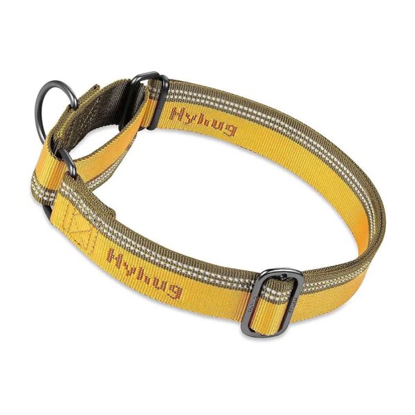 Safe and Sturdy Martingale Dog Collar with Reflective 3M Threads and Jacquard Weave Nylon