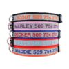 Safe and Stylish Dog Collar for Boy and Girl Dogs with Adjustable Sizes