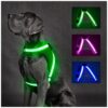 Safe and Stylish Green LED Harness for Medium Large Dogs with No Pull Design