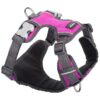 Safe and Stylish Hot Pink Padded Harness for Small Breed Dogs, XS Size, Adjustable Nylon