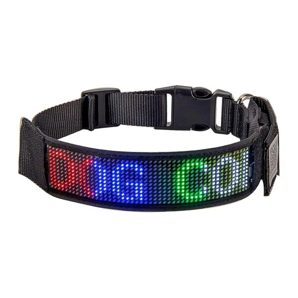 Safety First LED Dog Collar with Mixcolor LED Lights and USB Rechargeable Battery