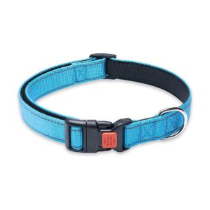 Safety First Nylon Dog Collar with Reflective Accents for Small Medium Large Dogs, Blue