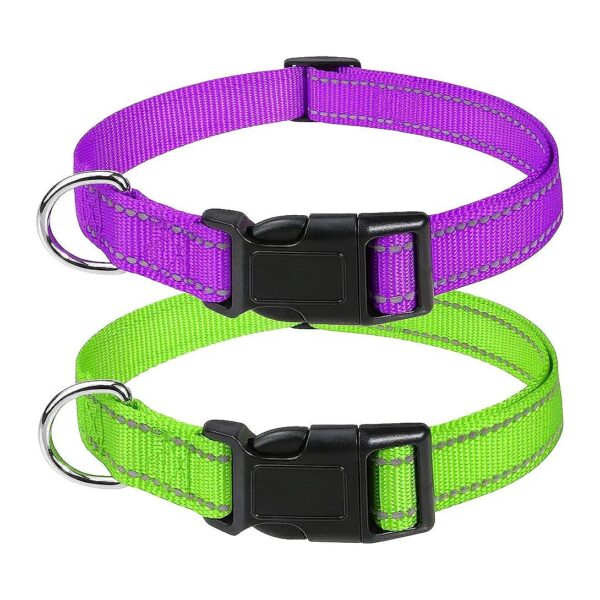 Safety First Reflective Nylon Dog