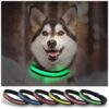 Safety Green Glow-in-the-Dark Dog Collar with Buckle Closure