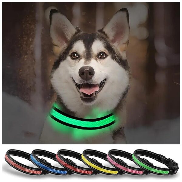 Safety Green Glow-in-the-Dark Dog Collar with Buckle Closure